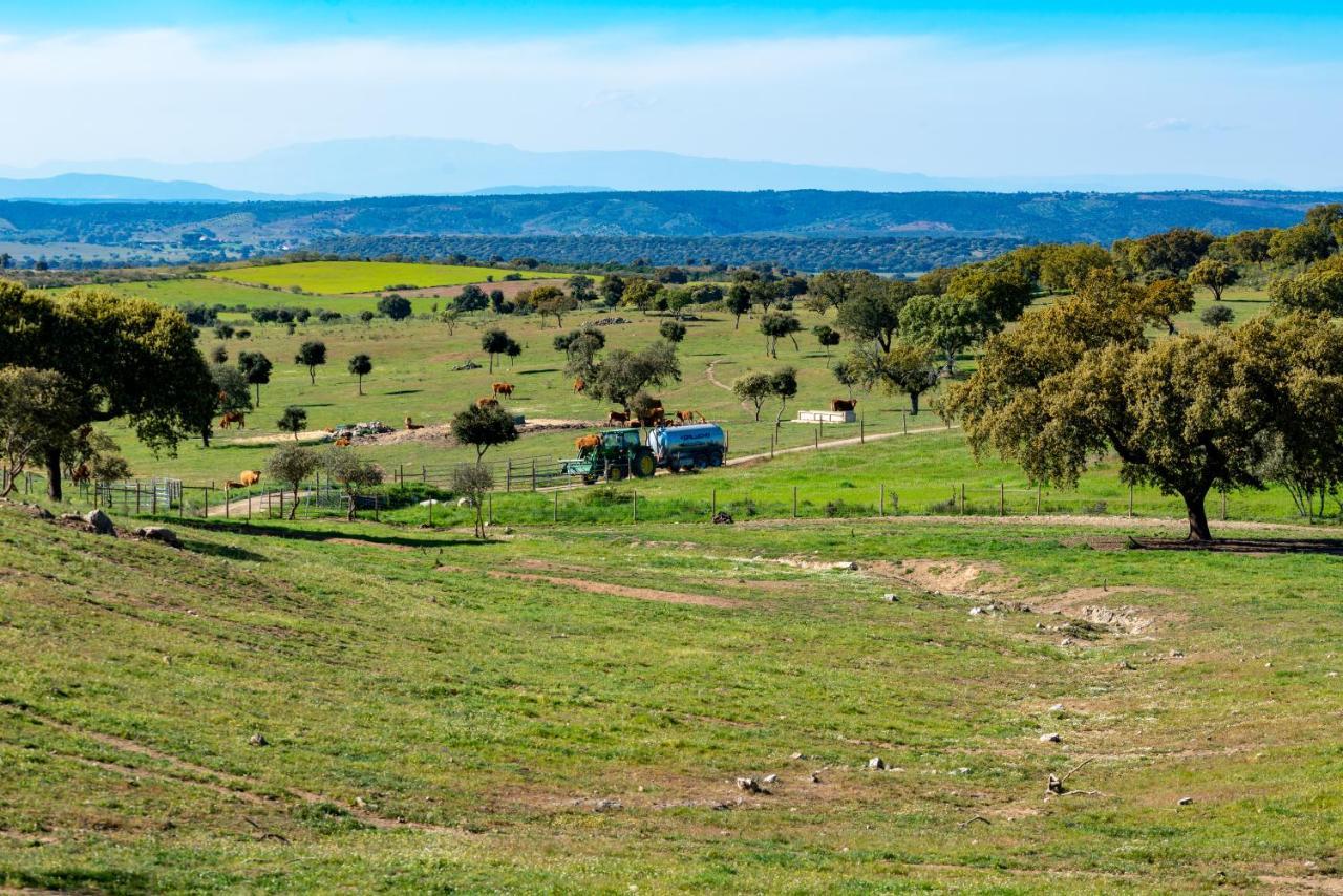 Moradia Gemea 2 Em Herdade Santa Marta Zebreira المظهر الخارجي الصورة